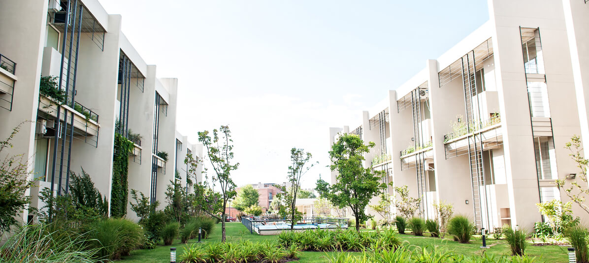 Desarrollo Ayres vila