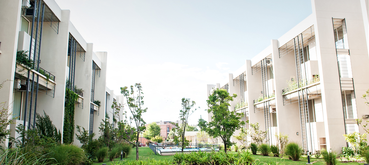 Desarrollo Ayres vila