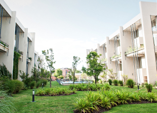 Desarrollo Ayres vila