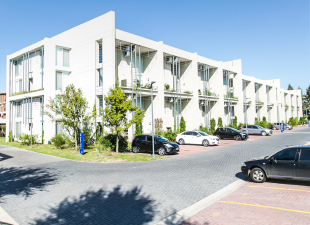 Desarrollo Ayres vila