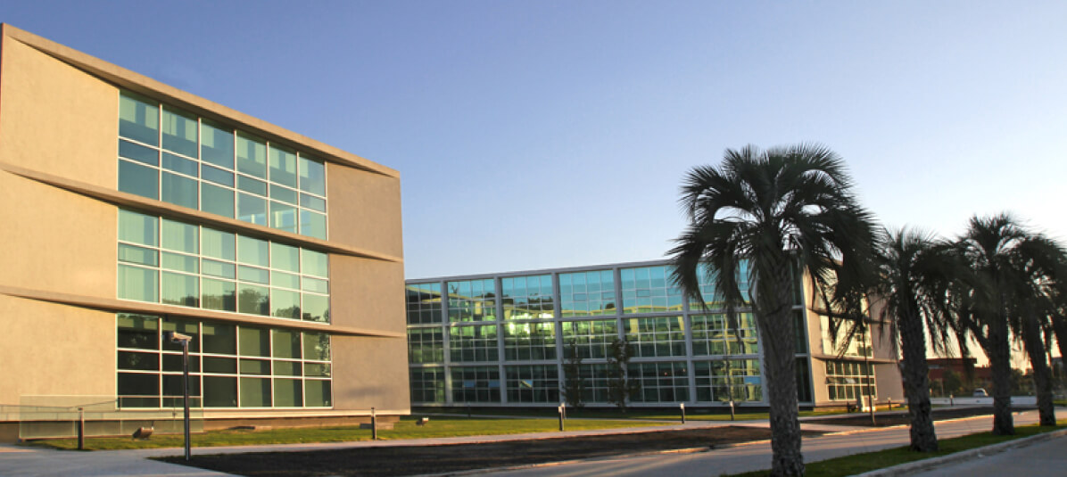 Desarrollo Ayres vila