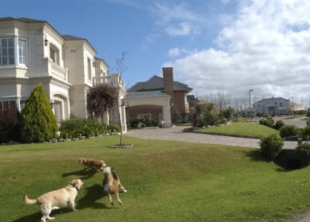 Desarrollo Ayres vila