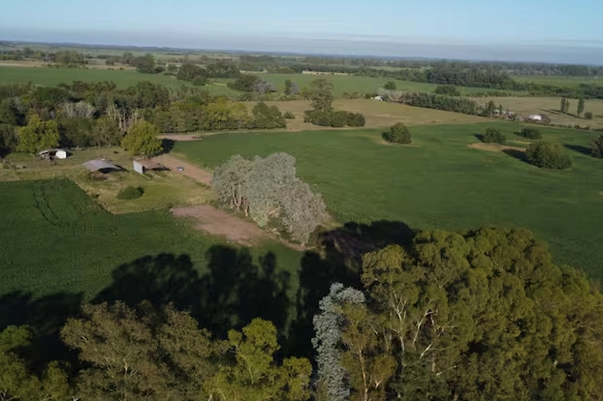 Desarrollo Ayres vila